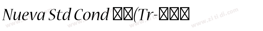 Nueva Std Cond 粗体(Tr字体转换